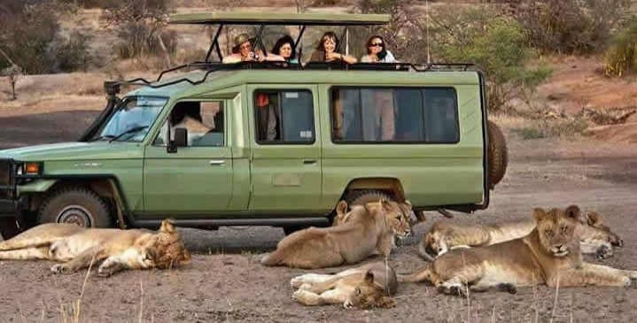 1. Game Drives
