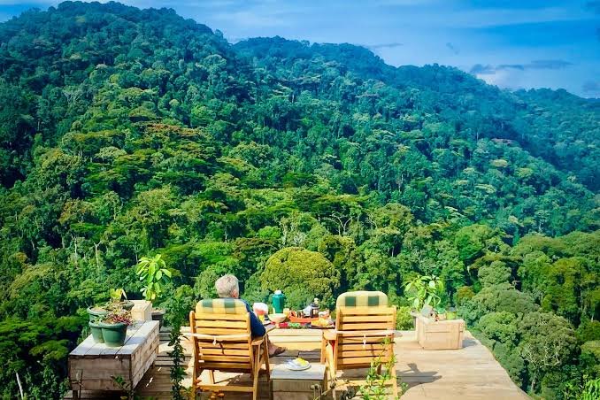 Bwindi Impenetrable