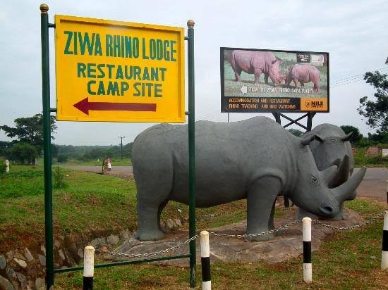 5 Days Tour to Zziwa Rhino Sanctuary